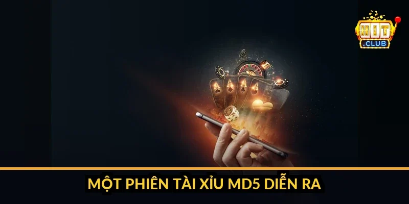 Sơ đồ trình tự một phiên Tài Xỉu MD5 - công bố mã Hash trước phiên, đặt cược, công bố chuỗi gốc, đối chiếu bằng công cụ MD5 độc lập