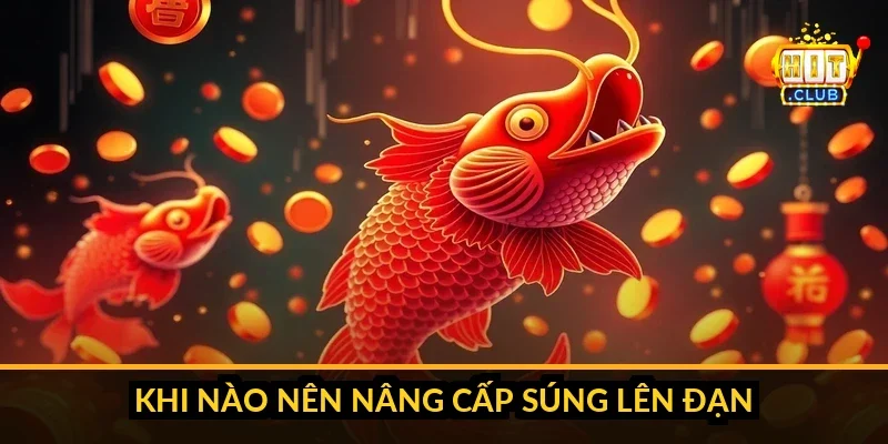So sánh chi phí xu mỗi phát giữa súng cấp thấp và đạn mạnh, gợi ý bể cá phù hợp cho người mới